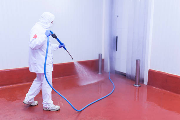 Best Patio and Deck Pressure Washing  in Munsey Park, NY